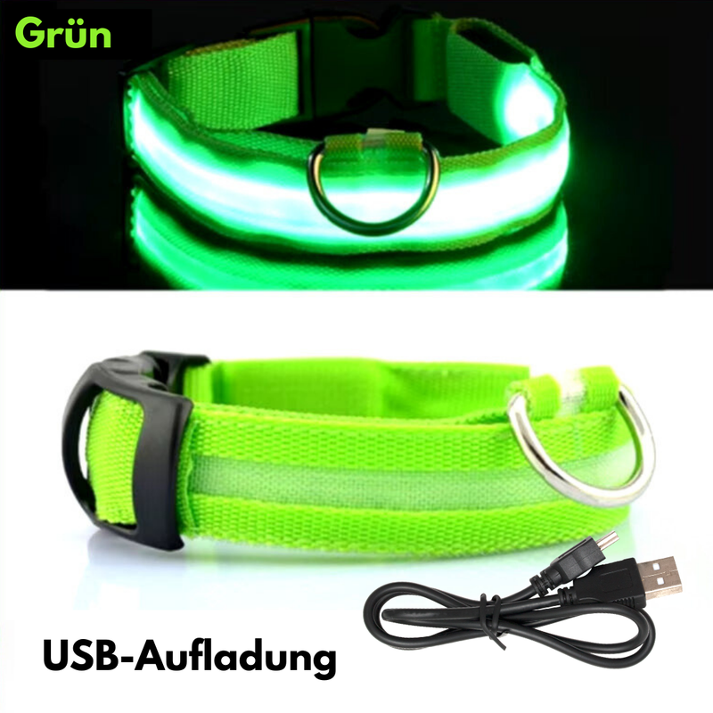 LED-Hundehalsband - USB-Aufladung