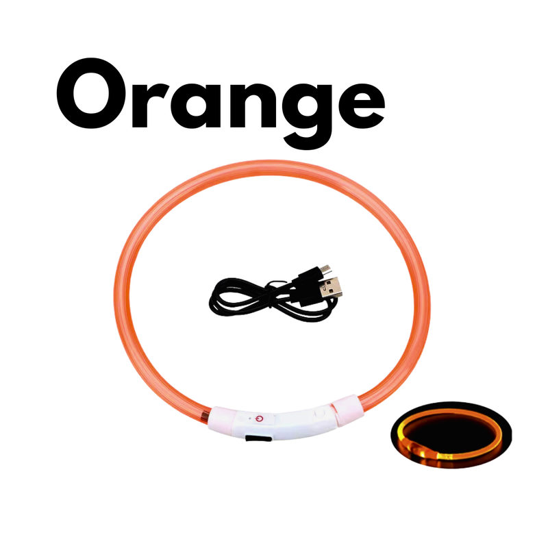 LED-Hundehalsband - USB-Aufladung