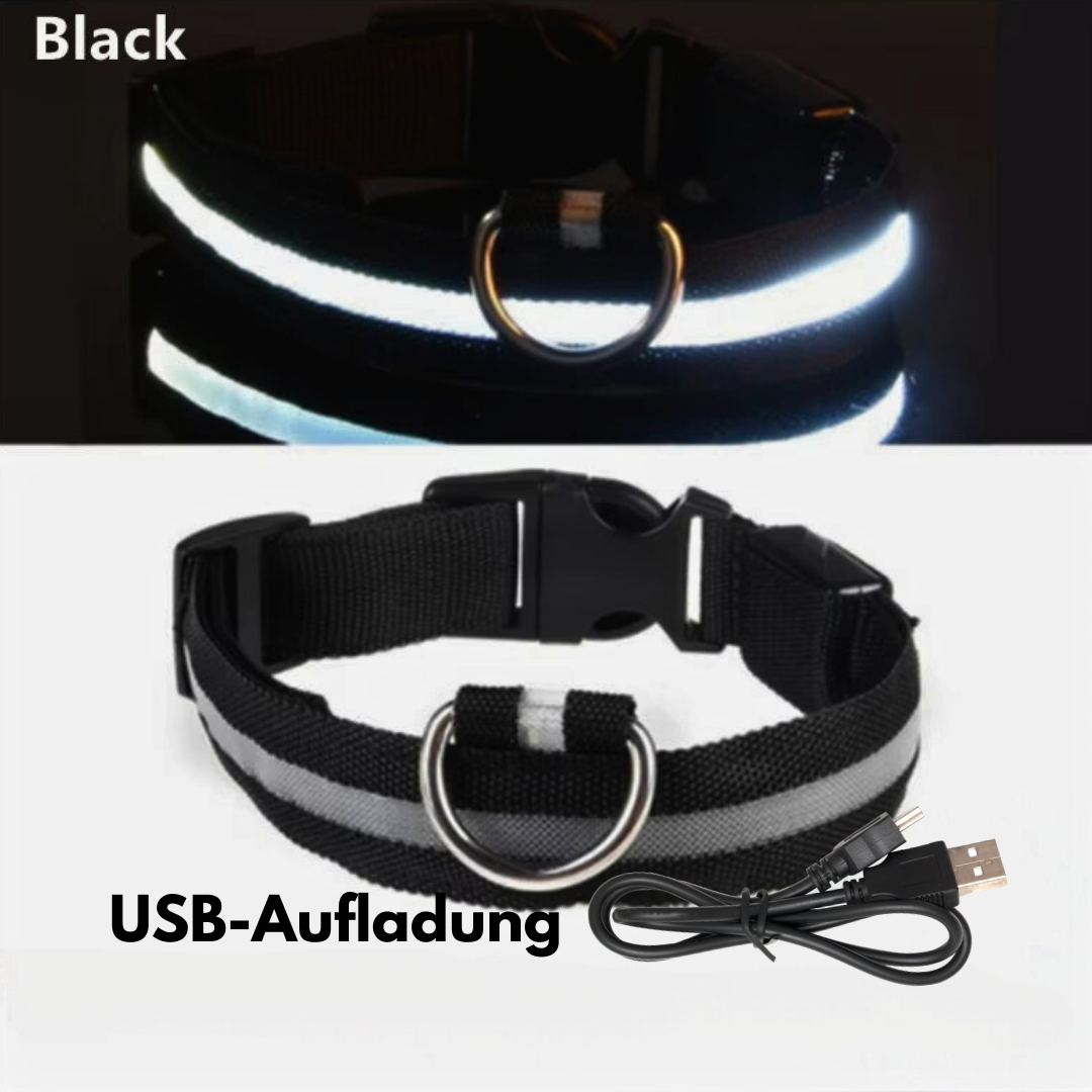 LED-Hundehalsband - USB-Aufladung
