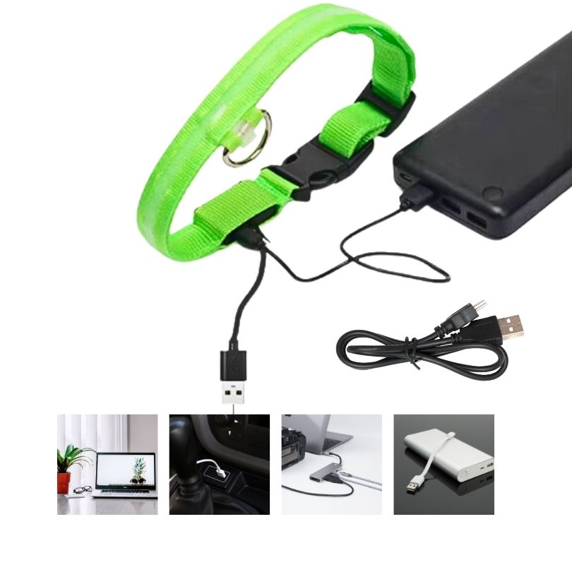 LED-Hundehalsband - USB-Aufladung