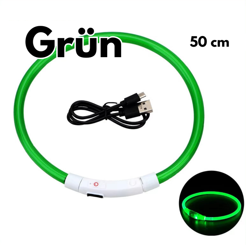 LED-Hundehalsband - USB-Aufladung