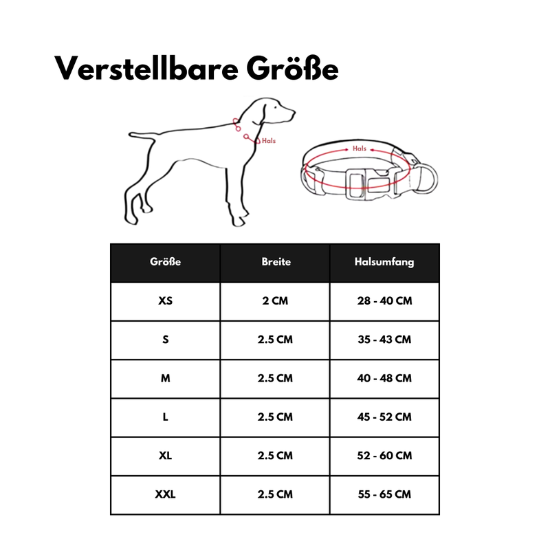 LED-Hundehalsband - USB-Aufladung