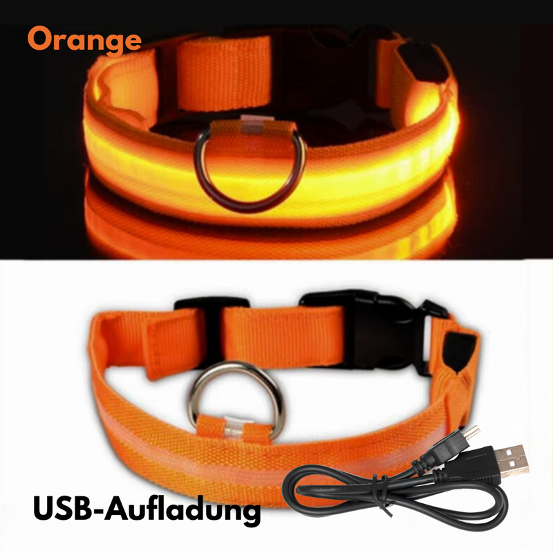 LED-Hundehalsband - USB-Aufladung