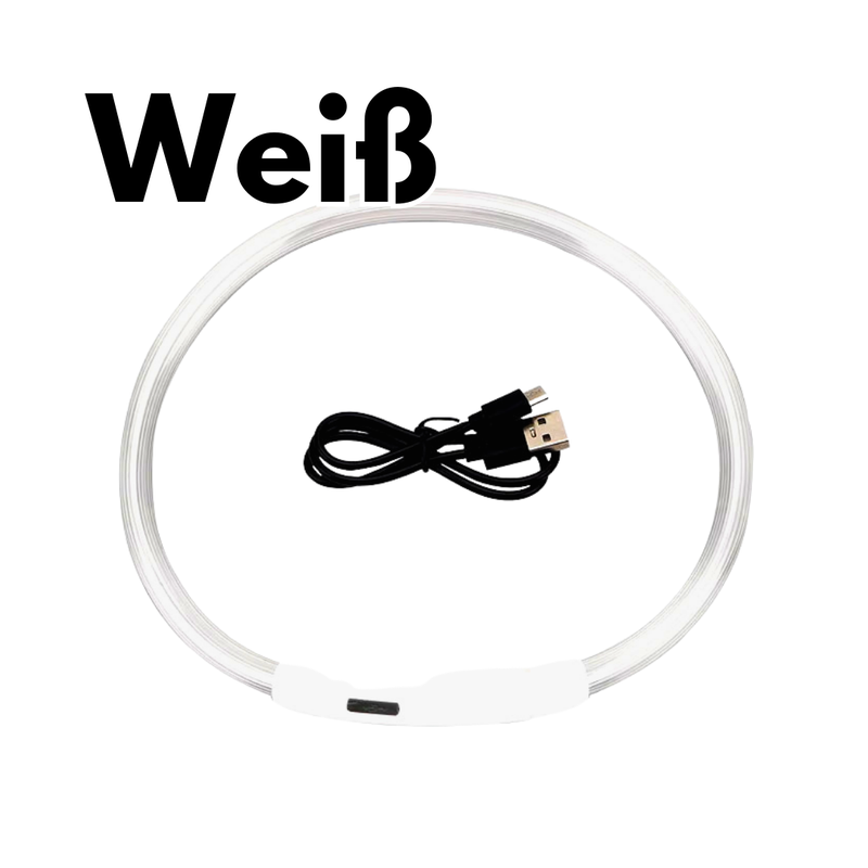 LED-Hundehalsband - USB-Aufladung