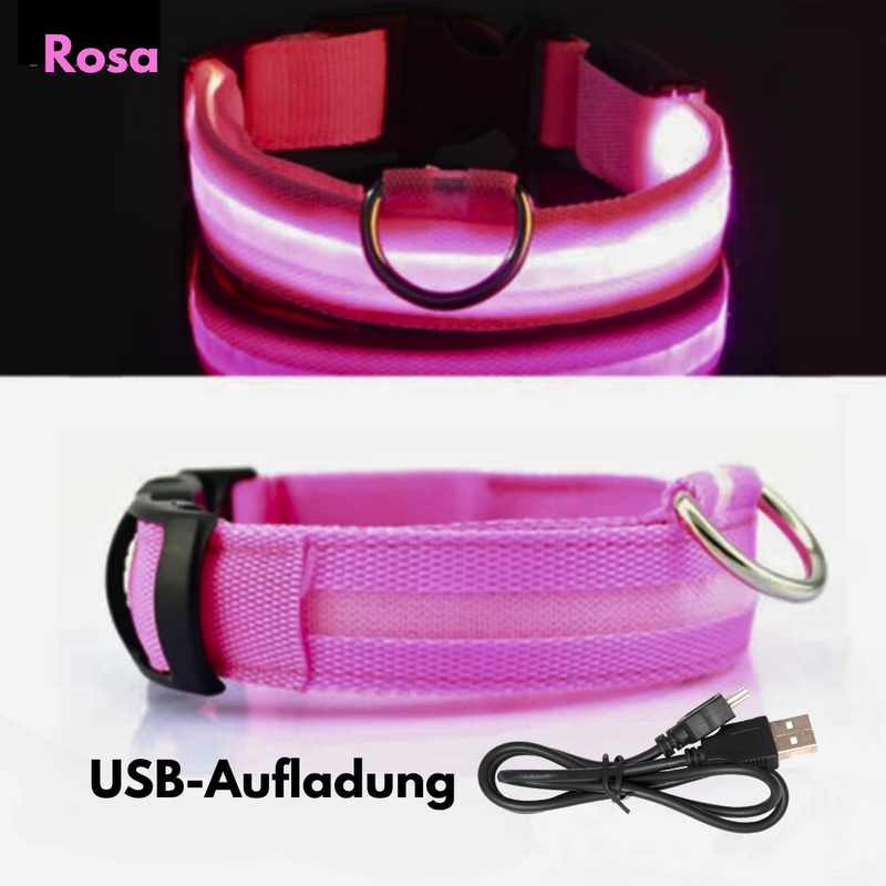 LED-Hundehalsband - USB-Aufladung