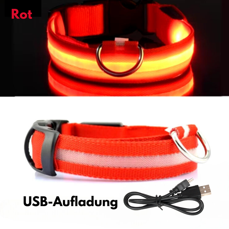 LED-Hundehalsband - USB-Aufladung