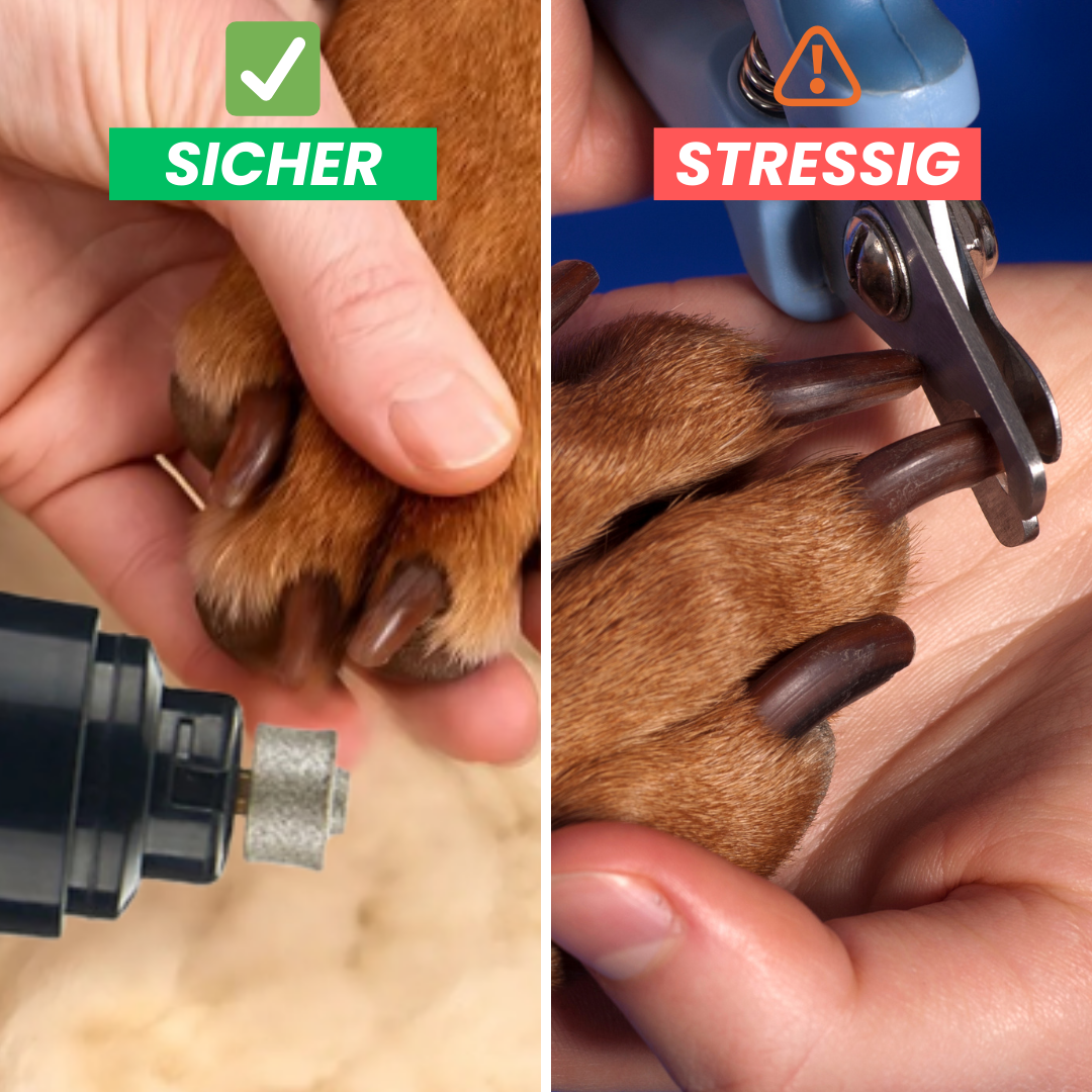 WhisperClaw Pro