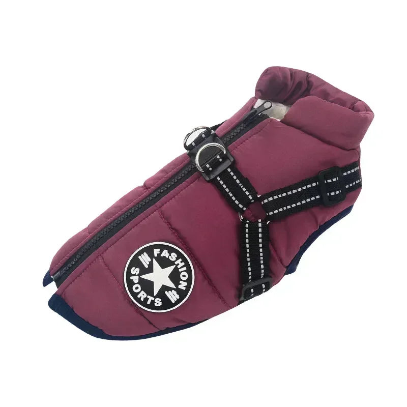 Wasserdichte Winterjacke mit integriertem Hundegeschirr