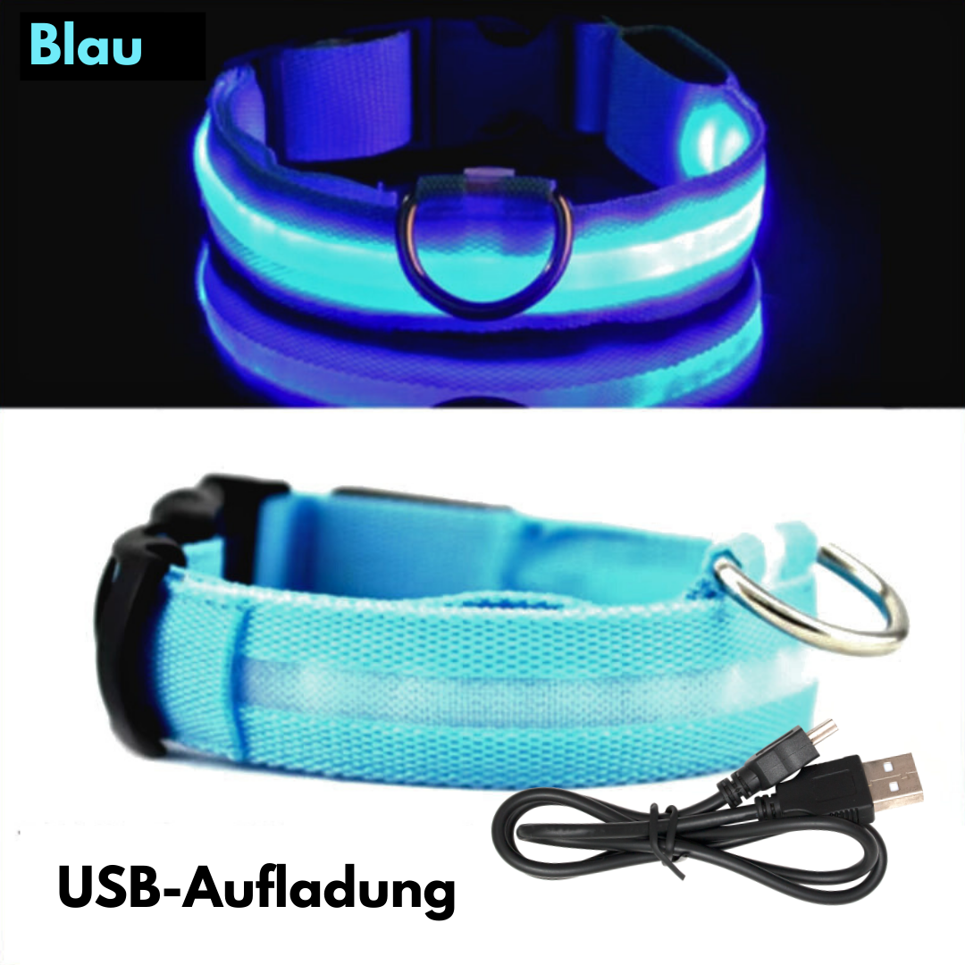 LED-Hundehalsband - USB-Aufladung