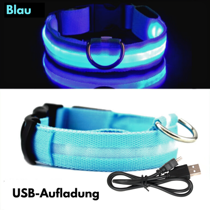 LED-Hundehalsband - USB-Aufladung