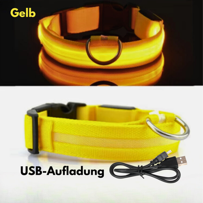 LED-Hundehalsband - USB-Aufladung
