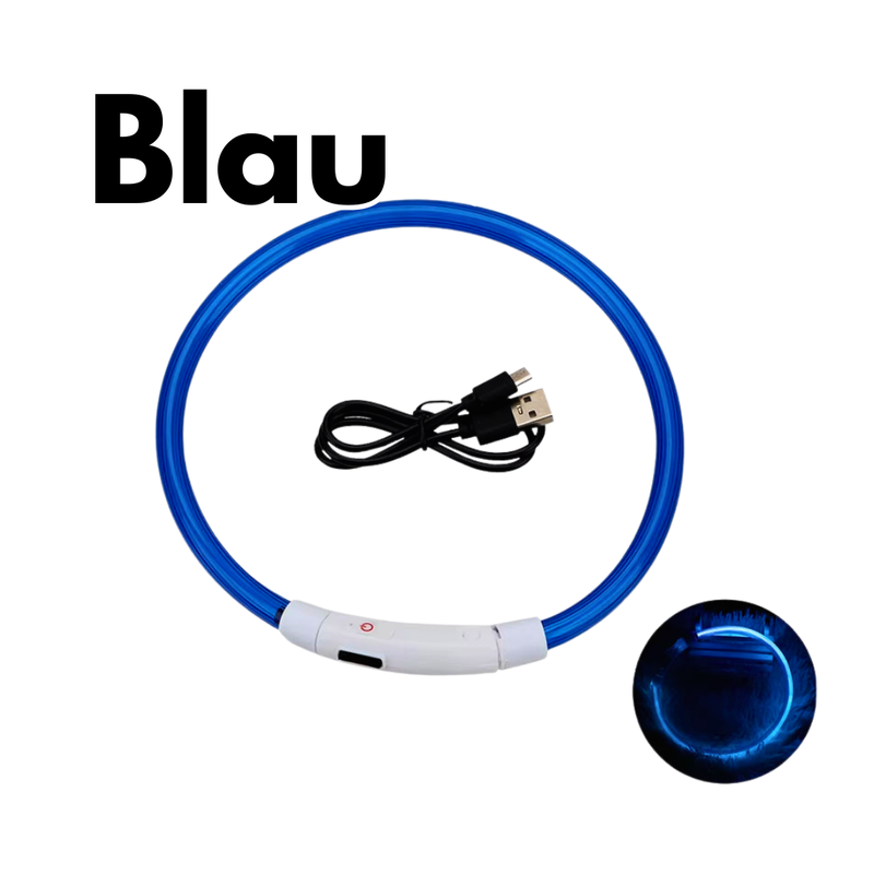LED-Hundehalsband - USB-Aufladung