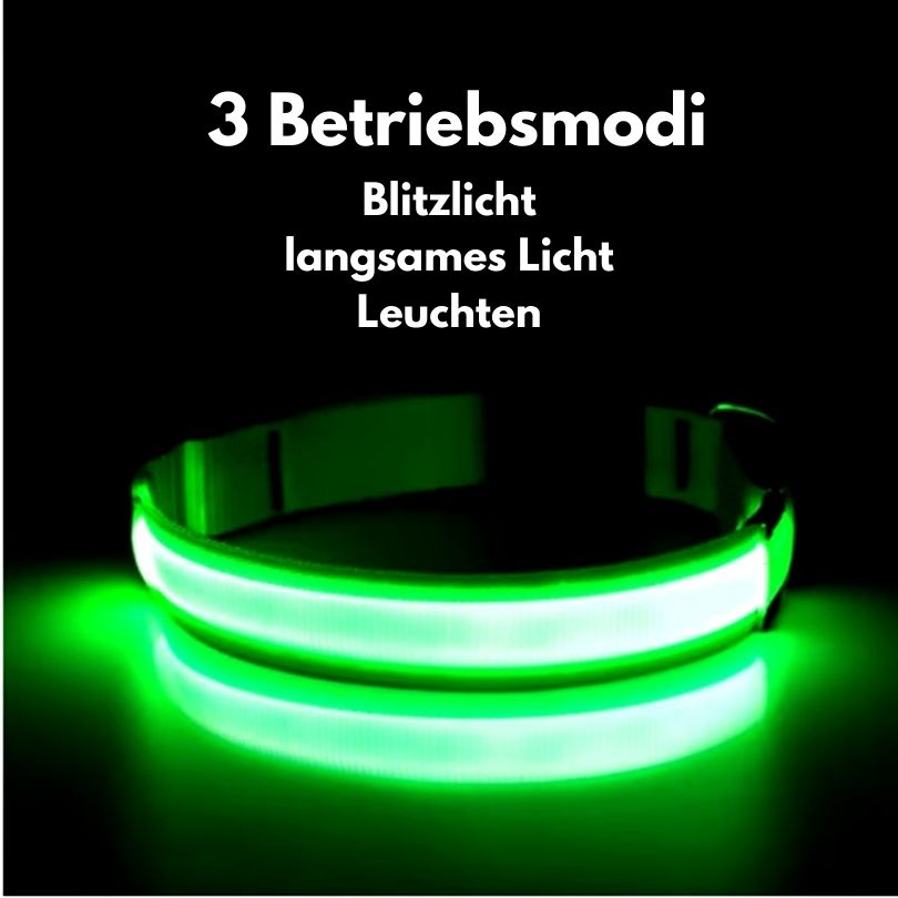 LED-Hundehalsband - USB-Aufladung