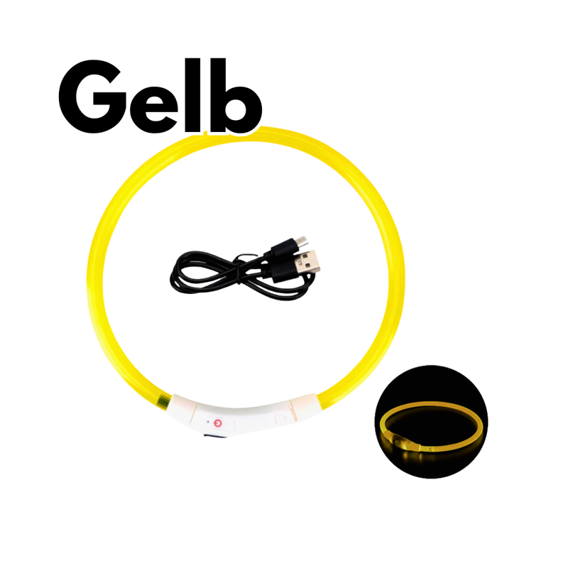 LED-Hundehalsband - USB-Aufladung