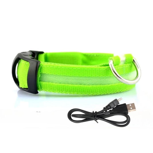 LED-Hundehalsband - USB-Aufladung