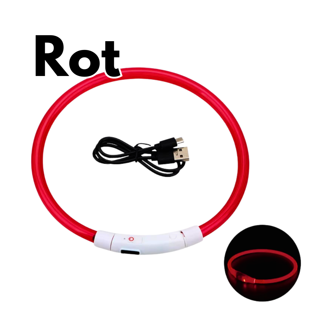LED-Hundehalsband - USB-Aufladung