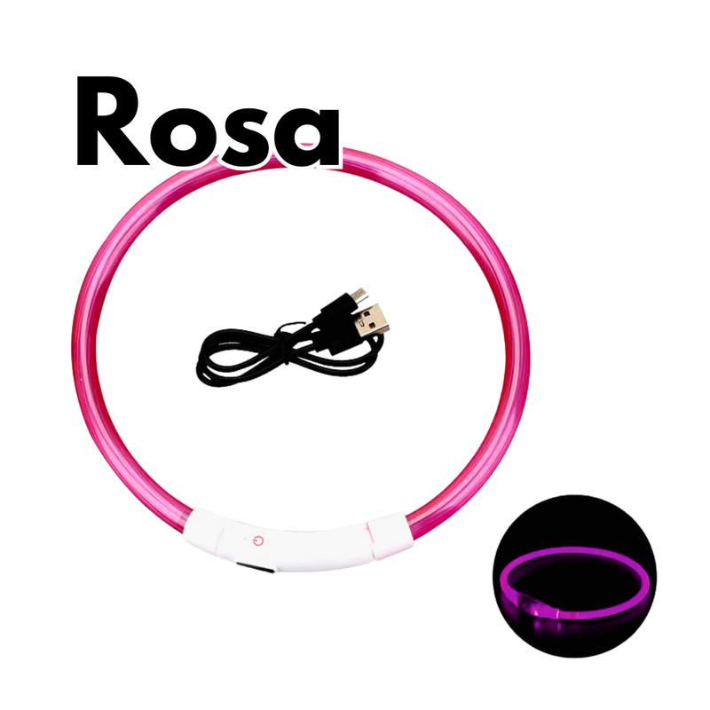 LED-Hundehalsband - USB-Aufladung