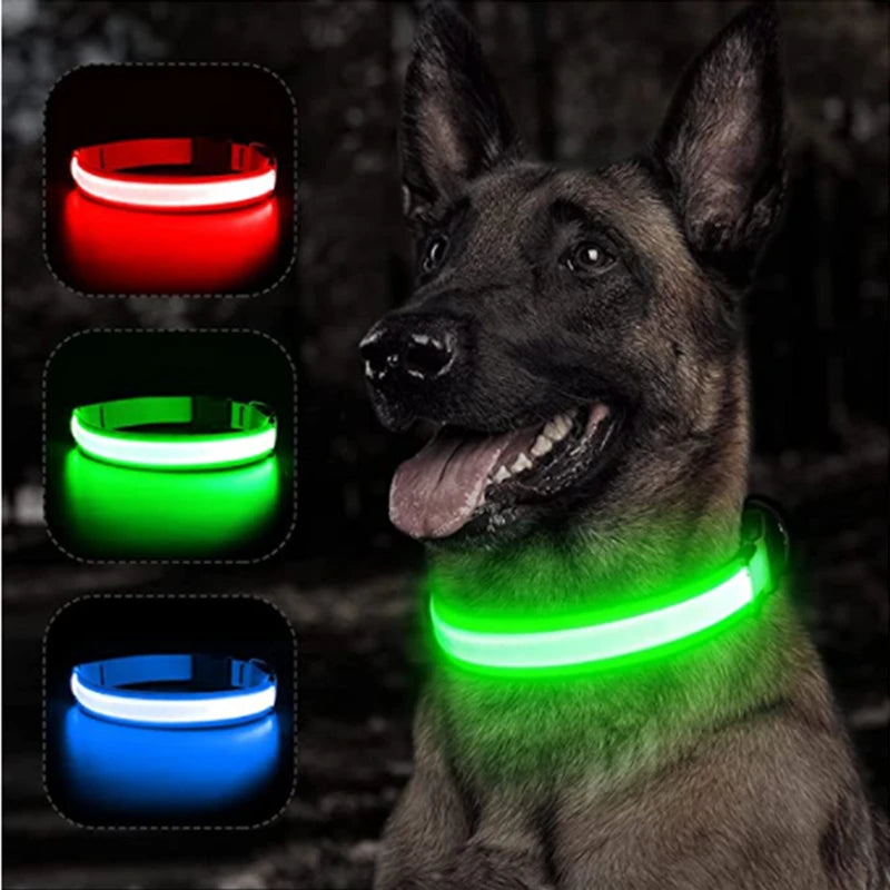 LED-Hundehalsband - USB-Aufladung